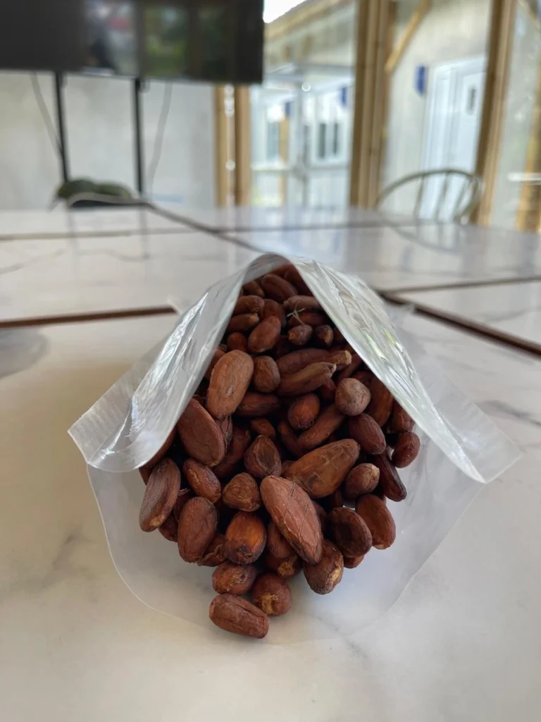 cacao